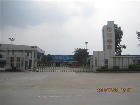 廣東省化州市海利集團有限公司